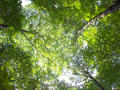 blog100902.JPG