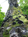 blog100912_06.JPG