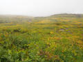 blog100913_03.JPG