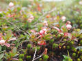 blog100913_08.JPG