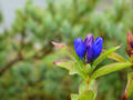 blog100913_11.JPG