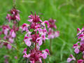 blog100914_03.JPG