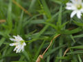 blog100914_05a.JPG