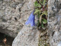 blog100914_14.JPG