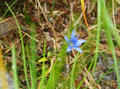 blog100914_17.JPG