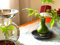 blog101023_2.JPG