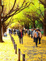 blog101123_2.JPG