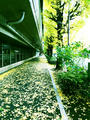 blog101127_3.JPG