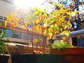 blog101129_2.JPG