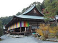 blog101201_11.JPG