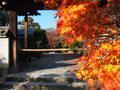 blog101201_14.JPG