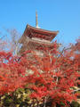 blog101202_02.JPG