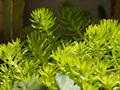 blog110405.JPG