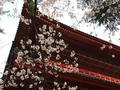 blog110410_1.JPG
