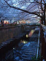 blog110410_3.JPG