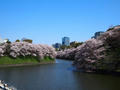 blog110412_1.JPG