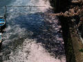 blog110412_2.JPG