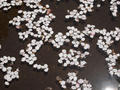 blog110412_3.JPG