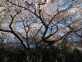 blog110412_4.JPG