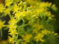 blog110502.JPG