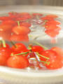 blog110512.JPG