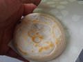 blog110521_5.JPG
