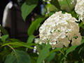 blog110702.JPG
