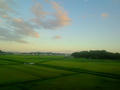 blog110906_3.JPG