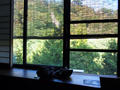blog110909_2.JPG