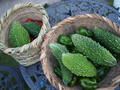 blog110910_2.JPG