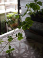 blog110921.JPG