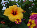 blog111013_4.JPG
