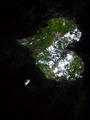 blog111014_2.JPG