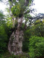 blog111014_3.JPG