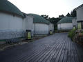 blog111014_4.JPG