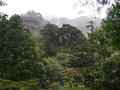 blog111015_01.JPG