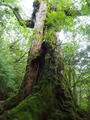 blog111015_02.JPG