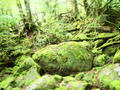 blog111015_05.JPG