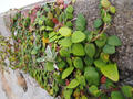 blog111016_2.JPG