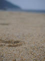 blog111016_4.JPG