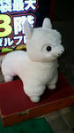 2010082221030001.jpg