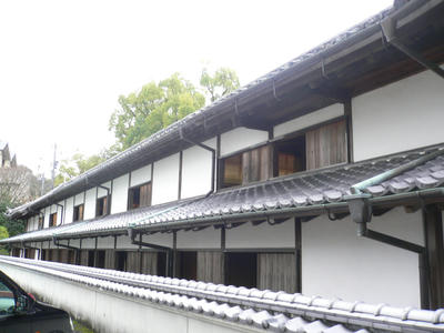 P1040575.JPG