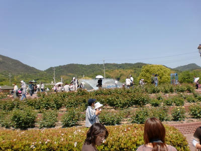 CIMG0202.JPG