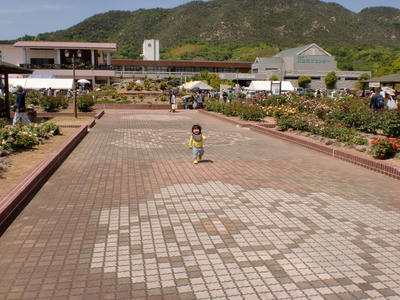 CIMG0221.JPG