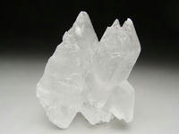 seln0032-2.jpg