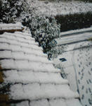 DSC00009.JPG