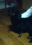 DSC00016.JPG