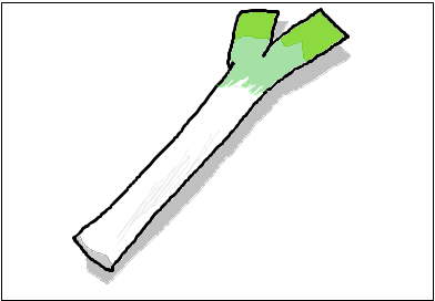 ねぎ