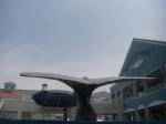 f038ceb6.jpg