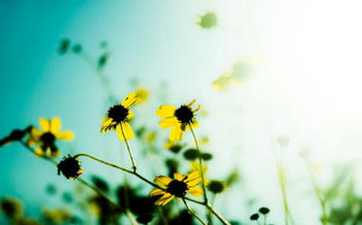 Chopped Vegetable Salad 